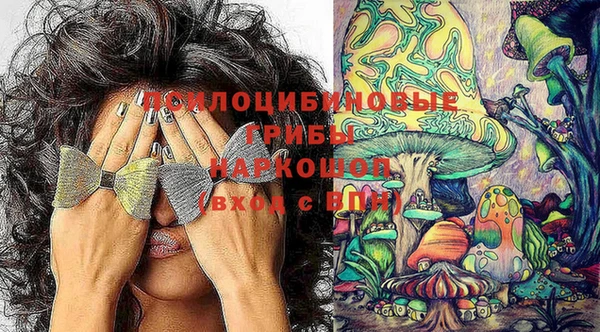 спиды Балахна