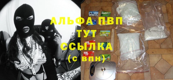 прущие грибы Баксан