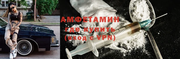 прущие грибы Баксан