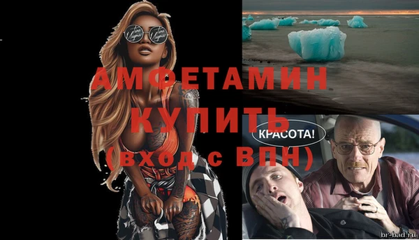 прущие грибы Баксан