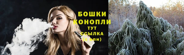 прущие грибы Баксан