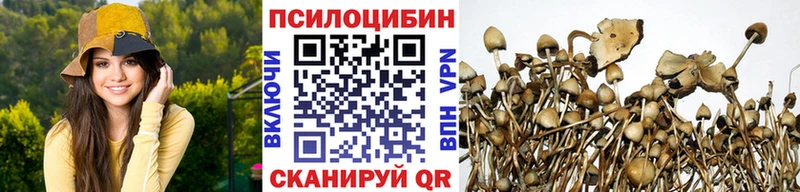Купить закладки  Плёс  Галлюциногенные грибы мухоморы 
